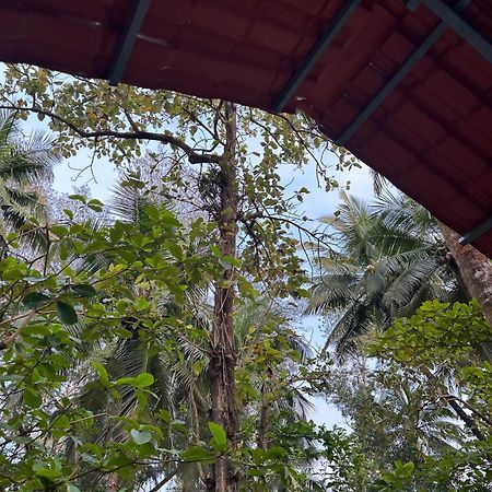 Coconut Grove Palolem Apartment Canacona Exterior photo